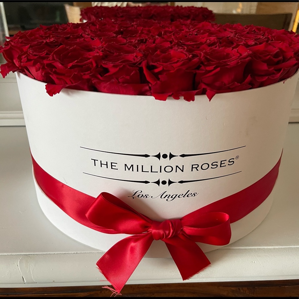 The Millions Roses - Picture 8 of 8